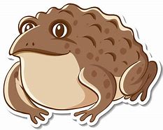 Image result for Toad Illustration