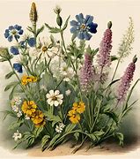 Image result for Wildflower Stencil