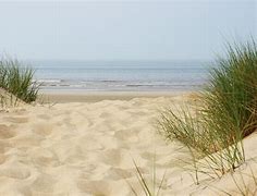 Image result for Beach Dunes and North Sea