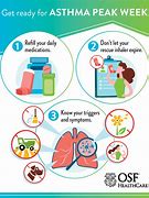 Image result for Asthma Allergy