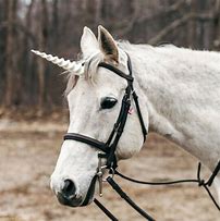 Image result for White Unicorn Horn