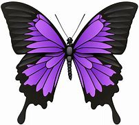 Image result for Vector Graphics Clip Art Purple