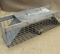 Image result for Old-Style Havahart Traps