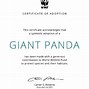 Image result for Giant Panda Adoption Kit