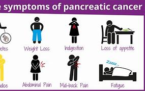 Image result for Pancreatic Cancer