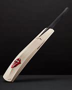 Image result for Cricket Players Bat