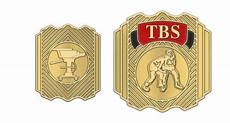 Image result for GTS Wrestling Belts