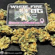 Image result for White Fire Seeds