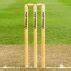 Image result for Wooden Cricket Board