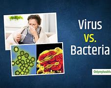 Image result for Viral Infection vs Bacterial Infection