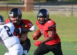 Image result for LaGrange College Panthers