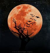 Image result for Halloween Orange Moon Batman