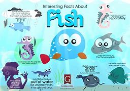 Image result for Interesting Fun Facts About Fish