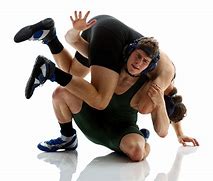 Image result for Pics of Wrestling Moves