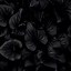 Image result for Black Wallpaper HD Android