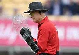 Image result for Cricket Umpire