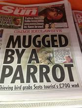 Image result for Hilarious News Headlines