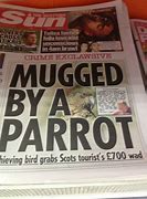 Image result for Funny Sky News Headlines