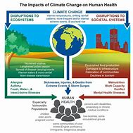 Image result for Impacts of Climate Change Effects