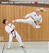 Image result for Martial Arts Pics