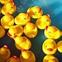 Image result for Fuzzy Duck Drinking Games