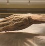 Image result for Perfectly Preserved Mummy