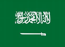 Image result for The Line City Saudi Arabia