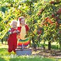 Image result for Kids Picking Apples