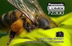 Image result for Panasonic Wildlife Camera