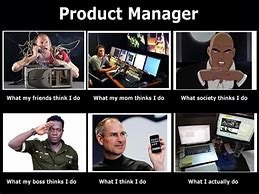Image result for Meme What My Mom Thinks I Do Product Owner