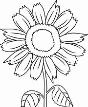 Image result for Drawing Clip Art for Coloring