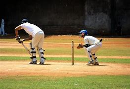 Image result for Cricket Pitcher