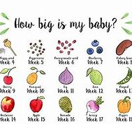 Image result for Baby Size Fruit Week Pregnancy
