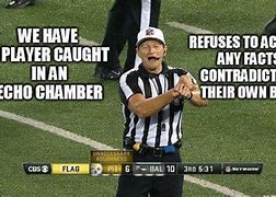 Image result for Funny NFL Ref Memes