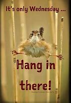 Image result for Hang in There Wednesday Quotes