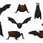 Image result for Bat Face Animated