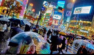 Image result for Shibuya Night Rain