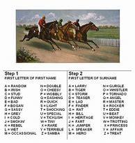 Image result for Weird Horse Names