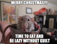 Image result for Rat Christmas Meme
