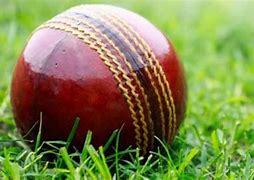 Image result for Cricket Items Images Download