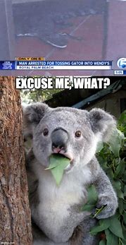Image result for Excuse Me Meme