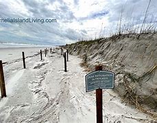 Image result for Amelia Island Beach Erosion