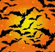 Image result for Evening Bat