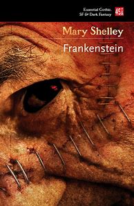 Image result for Frankenstein Book Light Blue Cover