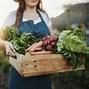 Image result for Sustainable Nature Pictures Food