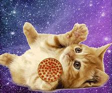 Image result for Galaxy Cat Meme