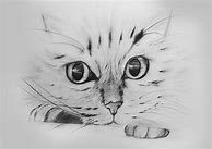 Image result for Cat Sketches