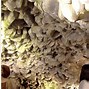 Image result for Puttin Bay Lake Erie World's Largest Geode