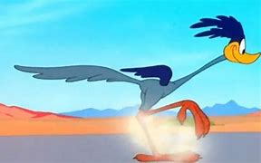 Image result for Coyote and Road Runner Real Life