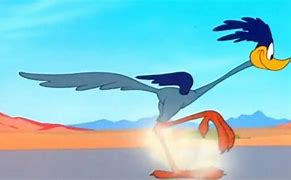Image result for Wile E. Coyote Gets the Road Runner